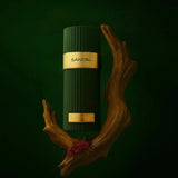 Zenith Santal EDP 100ml - French Avenue - Fragrance Forte